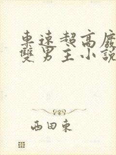 车速超高废文的双男主小说推荐免费