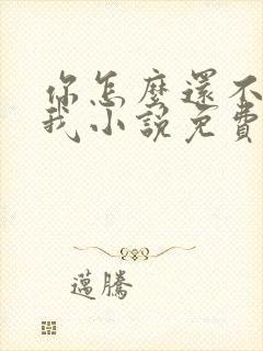 你怎么还不来哄我小说免费阅读