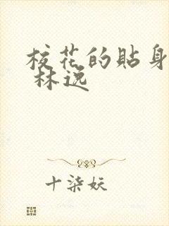 校花的贴身高手 林逸