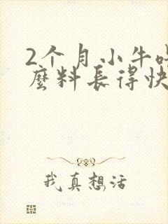 2个月小牛喂什么料长得快