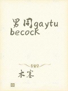 男同gaytubecock