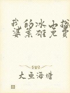 我的冰山总裁老婆叶雄免费阅读