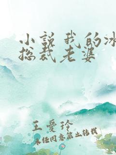 小说 我的冰山总裁老婆