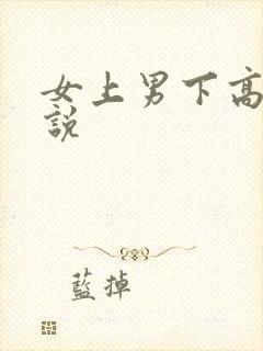 女上男下高h小说