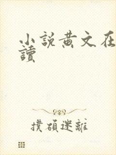 小说黄文在线阅读