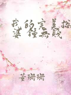 我的完美总裁老婆 钟无贱