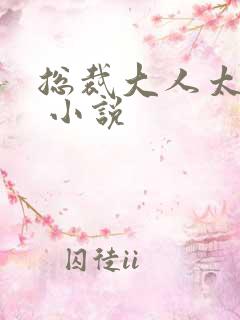 总裁大人太凶猛 小说