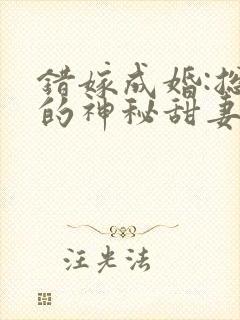 错嫁成婚:总裁的神秘甜妻txt下载