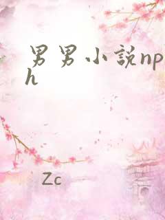 男男小说np高h