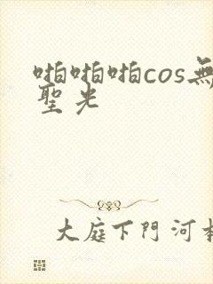 啪啪啪cos无圣光