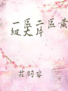一区二区黄色一级大片