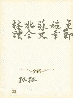 林北苏婉免费阅读全文章节