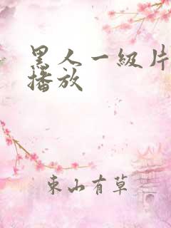 黑人一级片在线播放