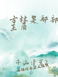 方林是哪部小说主角