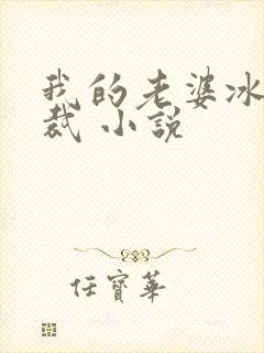 我的老婆冰山总裁 小说