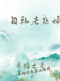 日韩老熟妇av