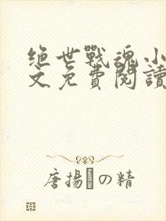 绝世战魂小说全文免费阅读无弹窗
