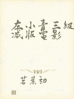 左小青三级无删减版电影