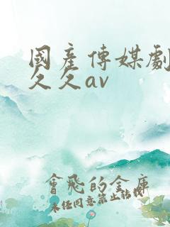 国产传媒剧情久久久av