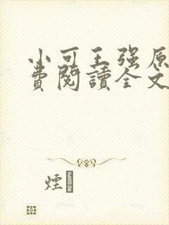 小可王强原文免费阅读全文最新章节