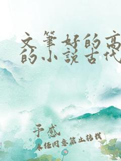 文笔好的高质量的小说古代言情