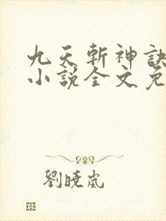 九天斩神诀林辰小说全文免费阅读