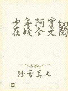 少年阿宾txt在线全文阅读