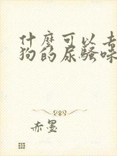 什么可以去除狗狗的尿骚味