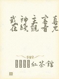 武神主宰真人版在线观看免费全集