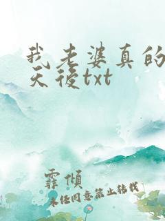 我老婆真的不是天后txt