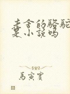 老舍的骆驼祥子是小说吗