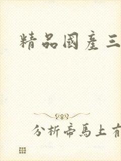 精品国产三级级