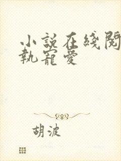 小说在线阅读偏执宠爱