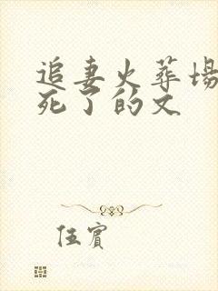 追妻火葬场女主死了的文