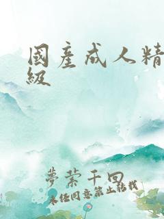 国产成人精品三级