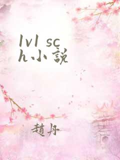 1v1 sc h小说