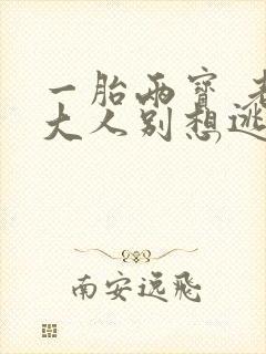 一胎两宝 老婆大人别想逃