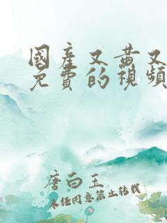 国产又黄又湿又免费的视频