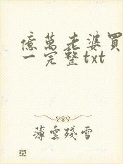 亿万老婆买一送一完整txt