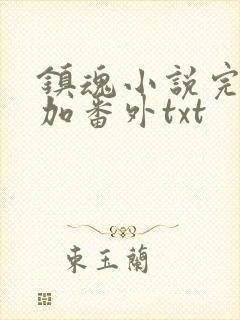 镇魂小说完整版加番外txt