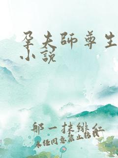 孕夫师尊生子的小说