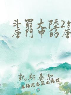 斗罗大陆2绝世唐门中的唐雅