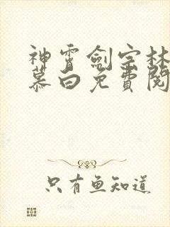 神霄剑宗林枫苏慕白免费阅读笔趣阁