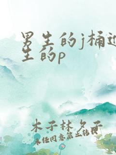 男生的j桶进女生的p