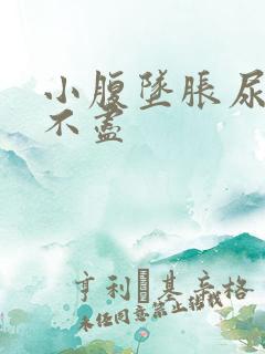 小腹坠胀尿频尿不尽