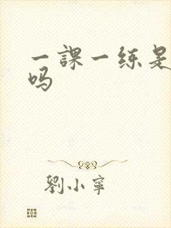 一课一练是国漫吗