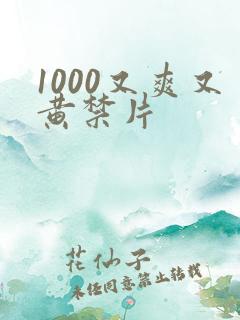 1000又爽又黄禁片