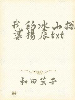 我的冰山总裁老婆杨辰txt