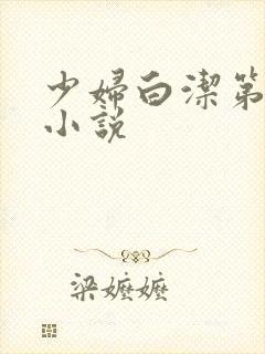 少妇白洁第十章小说