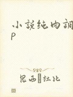 小说纯肉调教np